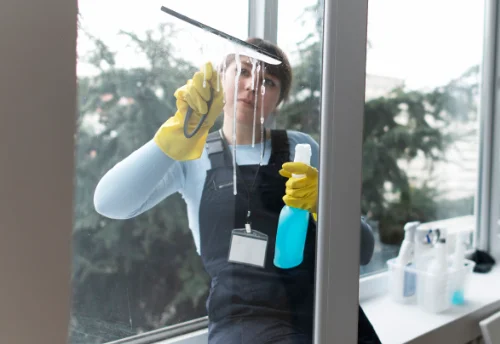 Nettoyage de vitres intérieures et extérieures à Baudricourt